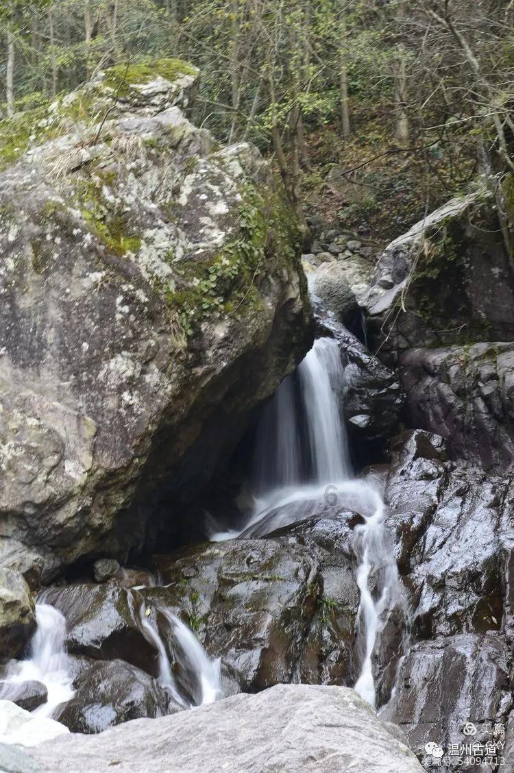 税惠红利催热 夷陵冬日经济